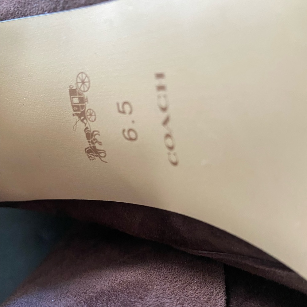 COACH Carter Ankle Boots - Picture 11 of 14